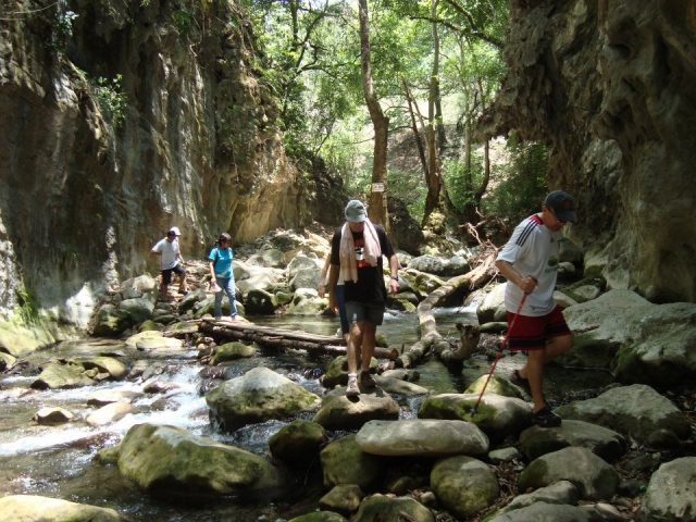 Guias especializados